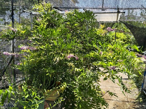 IMG_20260728_111939214_HDR