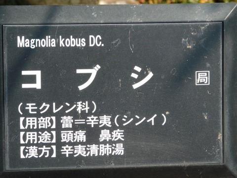 DSCN3585