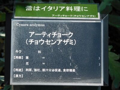 DSCN1990