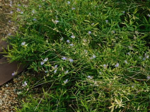 DSCN2831