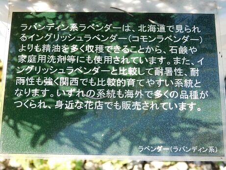 DSCN9838