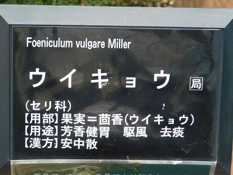 DSCN7849