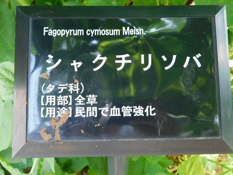 DSCN3821