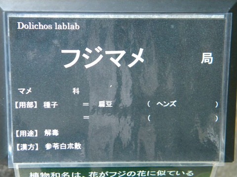 DSCN9875