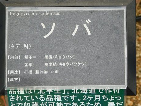DSCN5661