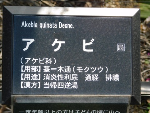 DSCN3721