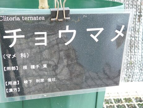 DSCN9880