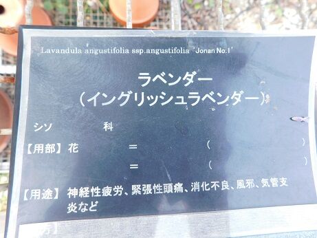 DSCN9739