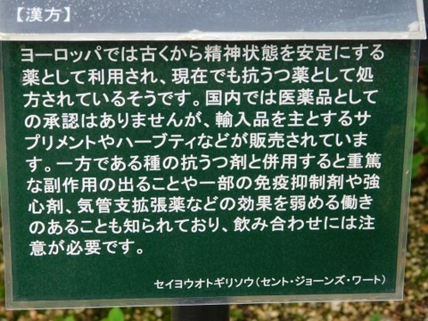 DSCN2063