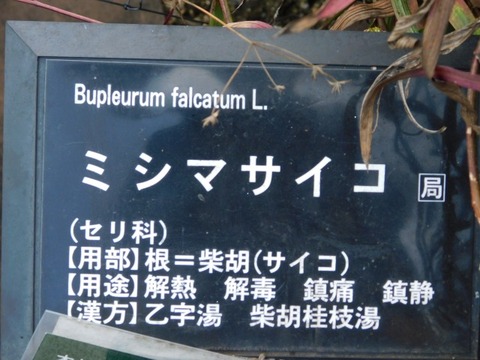 DSCN3224