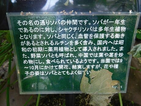 DSCN8663