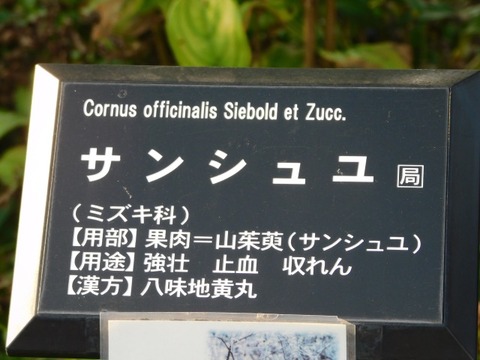 DSCN3041