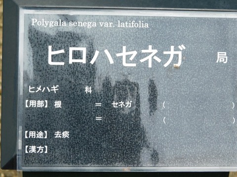 DSCN2335