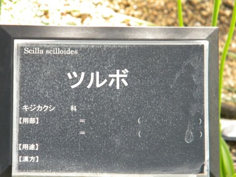 DSCN9953