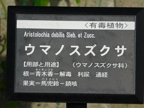 DSCN9713