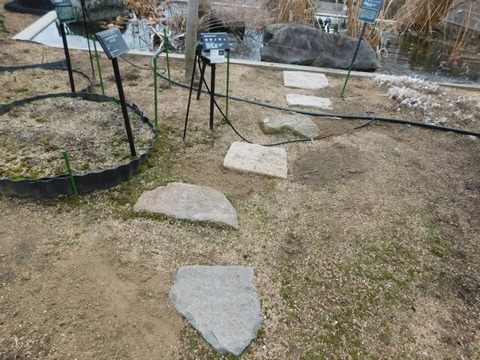 DSCN6132