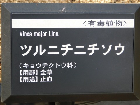 DSCN6171