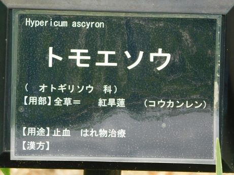 DSCN5358