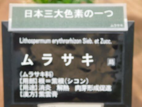 DSCN9469