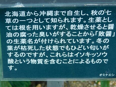 DSCN9973