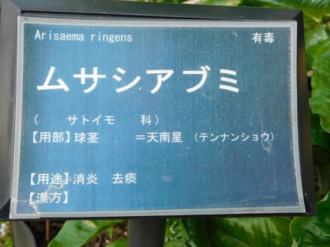 DSCN3857
