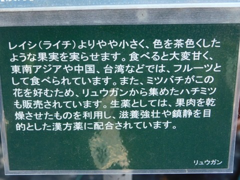 DSCN3135
