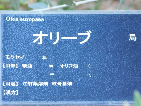 DSCN5514