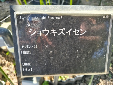 IMG_20261003_141149384_HDR