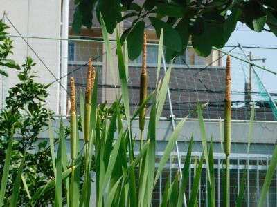 DSCN2004