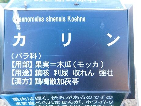 DSCN8765
