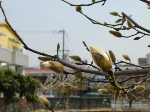 DSCN3584