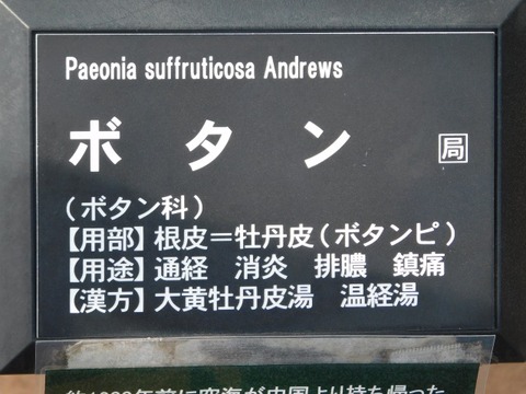 DSCN3707