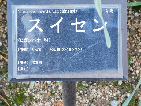 DSCN4190