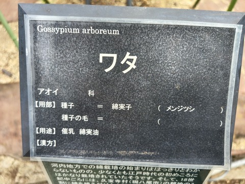IMG_20260827_132920735_HDR