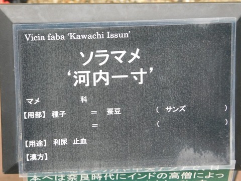 DSCN6272