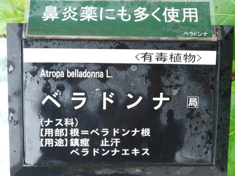 DSCN4373