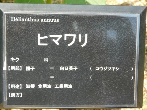 DSCN2093