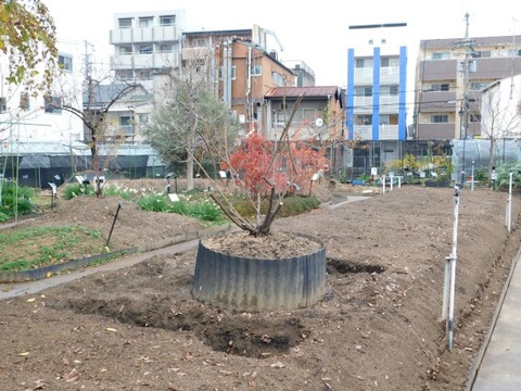 DSCN3367
