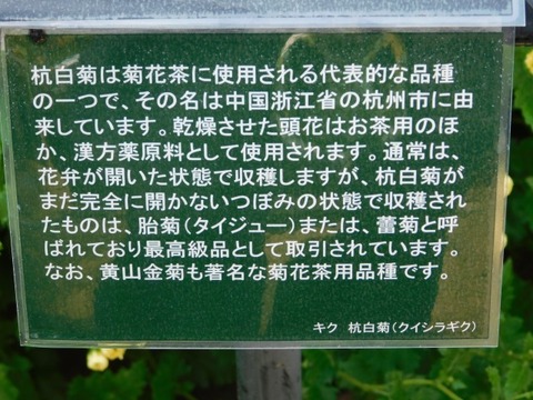 DSCN3049