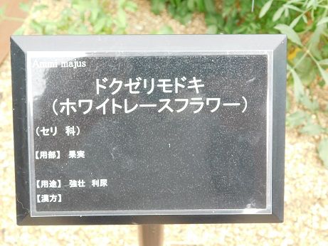DSCN3172