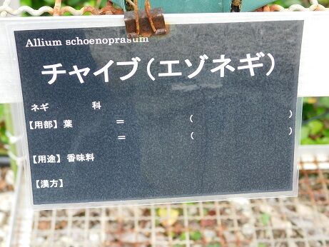 DSCN7620
