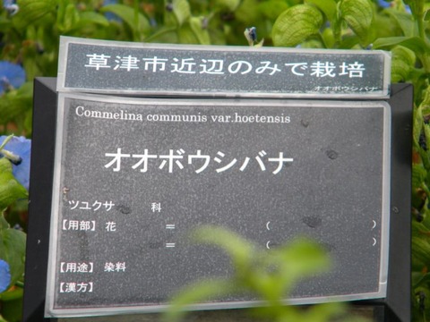 DSCN9905