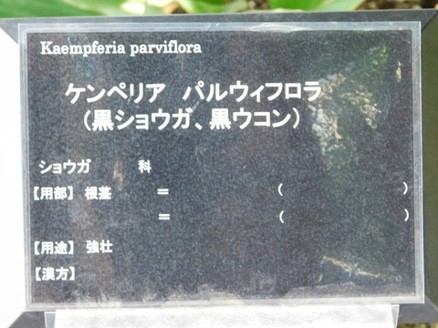 DSCN7432