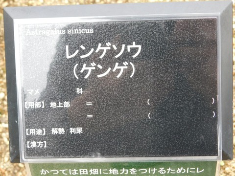 DSCN6257