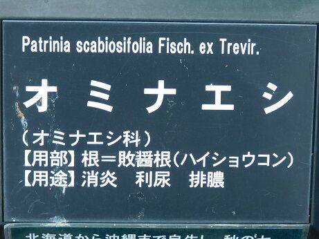 DSCN9972