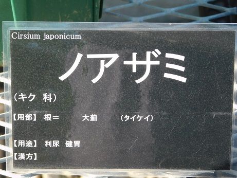 DSCN4858