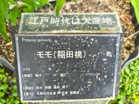 IMG_20260723_113056989_HDR