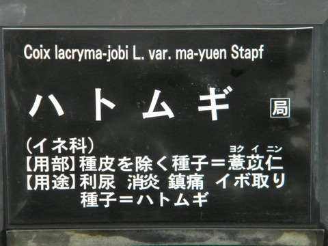 DSCN9914