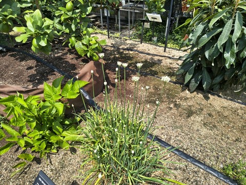 IMG_20260820_114830442_HDR