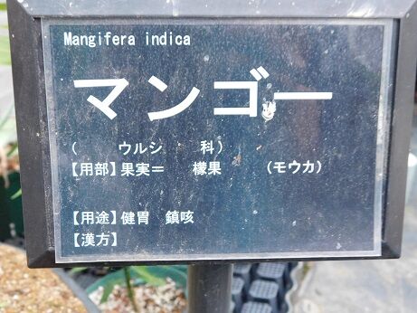 DSCN9059